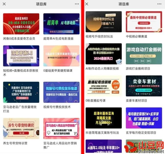 沃克短视频，好玩又好看，国外美女随你看，零撸好项目