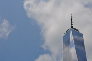 日入300豆子赚最新首码全自动挂j，一台手机可以后台挂多个账号