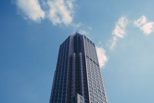 中国最真实的大集中国大集网是临沂的吗知乎