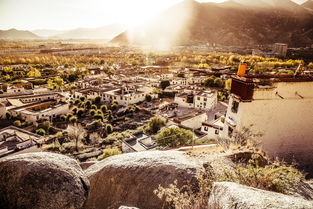 冬天中国最暖和城市中国冬天最暖和的城市排名