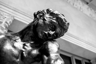 世界名人狮子排名前十有哪些，狮子的名人