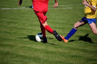 足球世界演员排名前十，足球世界演员排名前十的是谁