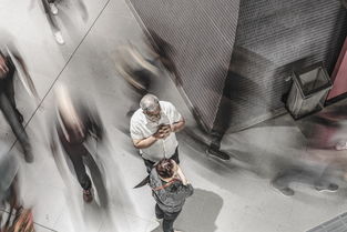 世界上恶作剧排名前十，世界上恶作剧排名前十的人