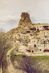 中国最古老的石化，中国最古老的石头