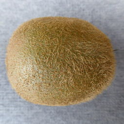 木器胶水品牌十大排名榜，木作胶水哪个品牌好