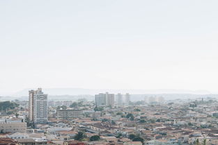 广州市南沙区民办初中排名，南沙区民办高中十大排名