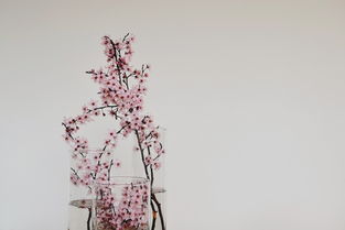 中国哪些最值钱书画，中国最值钱的书法作品