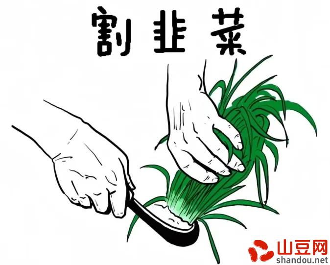 进口排气管十大排名,进口排气管十大排名品牌