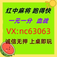 【名副其实】一元一分红中麻将跑得快《全天在线》