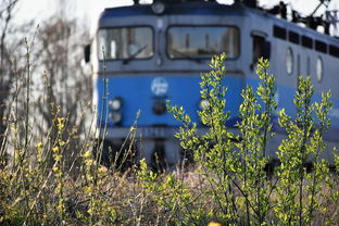 中国重庆最牛铁路，中国重庆最牛铁路是哪条