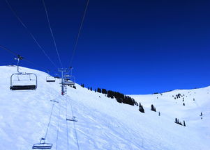 华山滑雪冰冰比赛时间,华山滑雪冰冰比赛时间安排