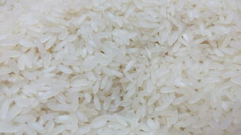 麦冬十大排名品种,麦冬十大排名品种图片