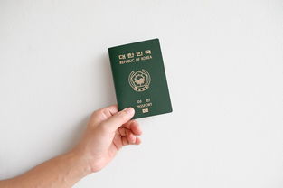 世界军火十大排名国家名单,世界军火排名前30名