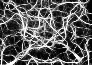 世界上最魔幻的存在，世界上最魔幻的存在是什么