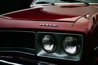 中国最罕见轿车,中国最罕见轿车排名