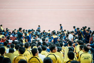 疫情学校活动策划方案，疫情学校活动