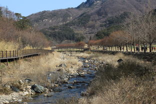 淮南洞山最新疫情情况,安徽省淮南市洞山属于哪个区