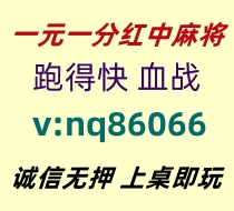 【春风得意】一元一分红中麻将跑得快@火爆全网