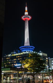 世界知名梁桥排名前十,世界知名梁桥排名前十名